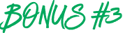 Bonus 3